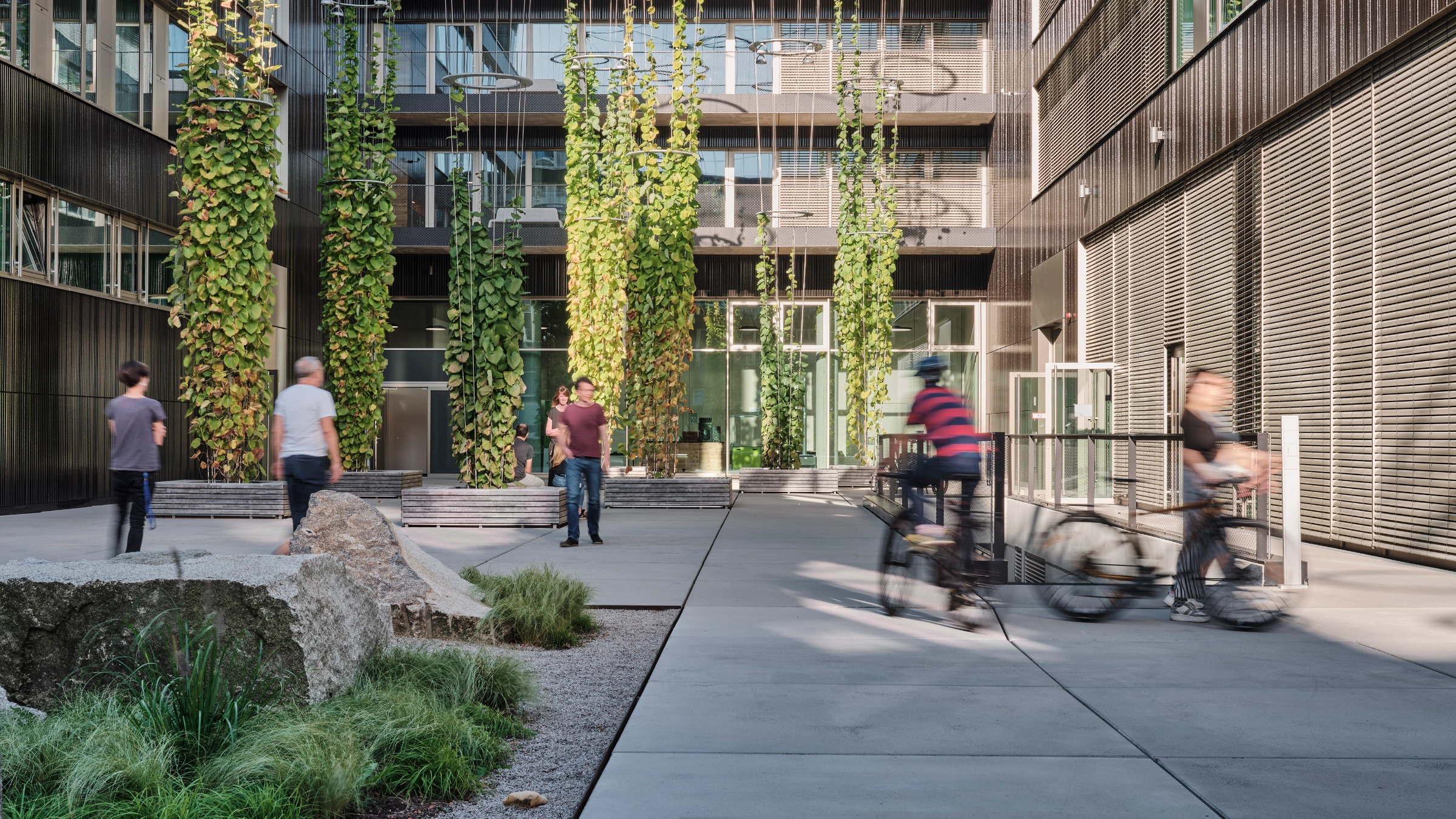 Employees moving through a modern corporate campus with bicycles